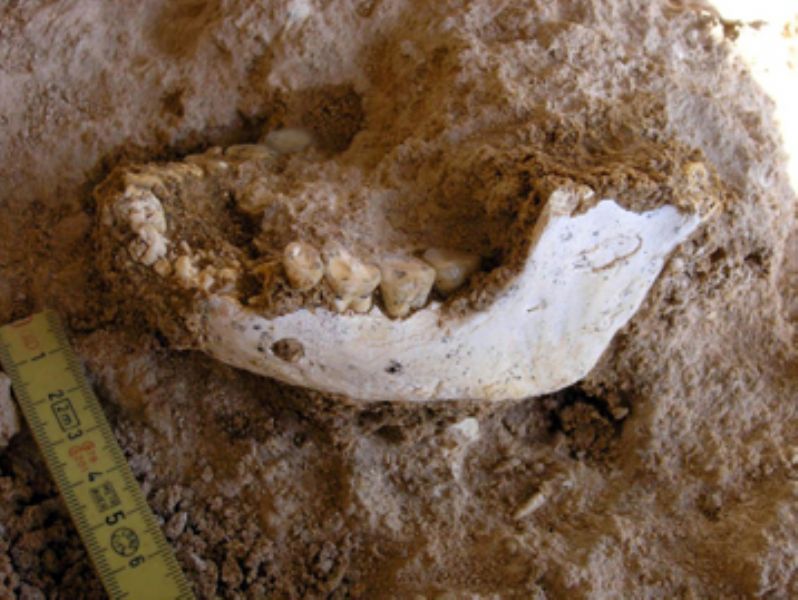 Hallan parte de una mandíbula humana en un yacimiento arqueológico de Casablanca