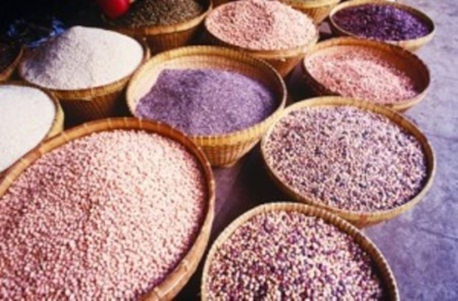Marruecos registra un rcord en la produccin de cereales