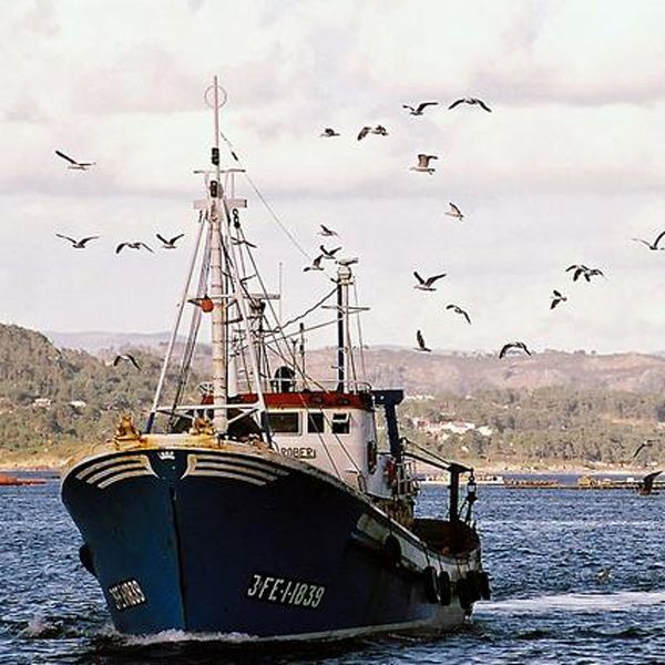 Marruecos pide a Espaa facilitar el reglamento de control pesquero