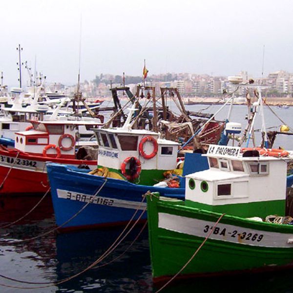 Espaa confa en solventar diferencias en el acuerdo pesquero UE-Marruecos