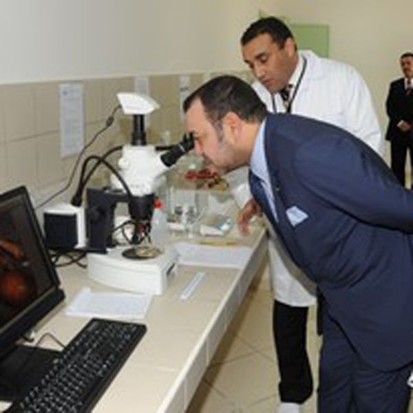 Mohammed VI inaugura en Tánger el Centro Regional del Instituto Nacional de Investigación Haliéutica