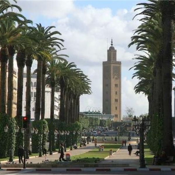 Marruecos elegido miembro del comité encargado de las ONGs