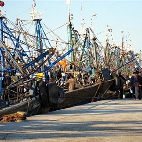 Junta y Gobierno español defienden la renovación del acuerdo de pesca con Marruecos