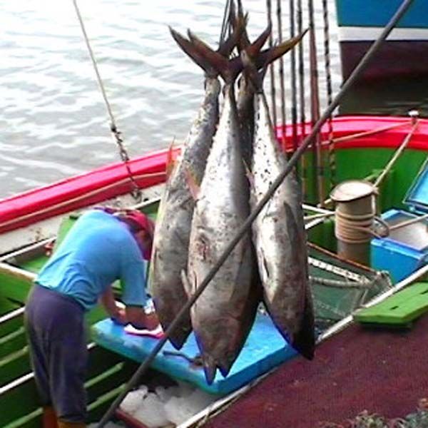 Bruselas pide negociar una prrroga para el acuerdo pesquero con Marruecos
