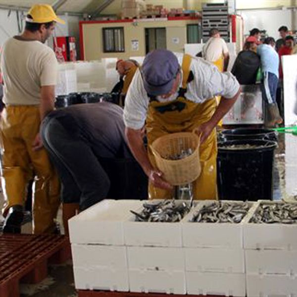Pescadores andaluces confan en que se apruebe la prrroga del acuerdo de pesca con Marruecos