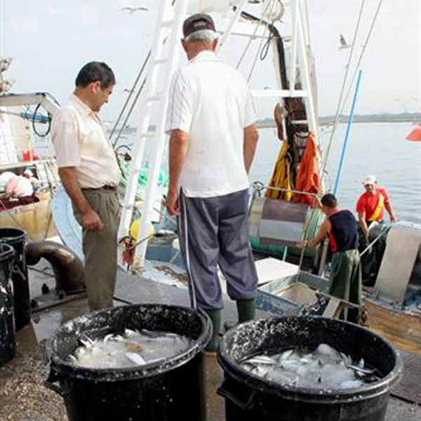 Pescadores de Barbate ven 