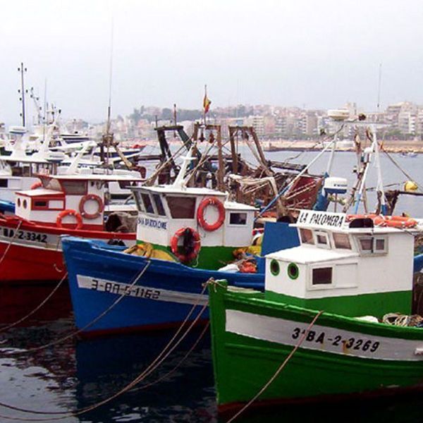 Algeciras Acoge La primera Jornada de trabajo de La Comisin Hispano Marroqu de Asociaciones Pesqueras
