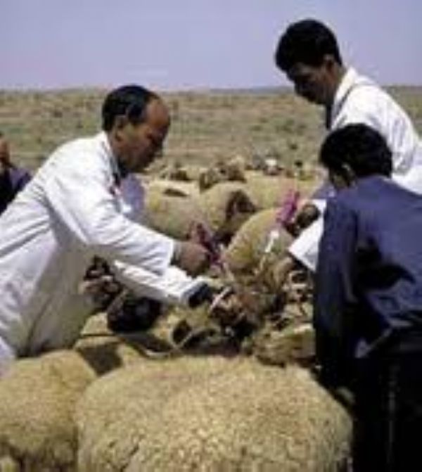 28 congreso magrebí veterinario, el 1  y 2de abril en Marrakech