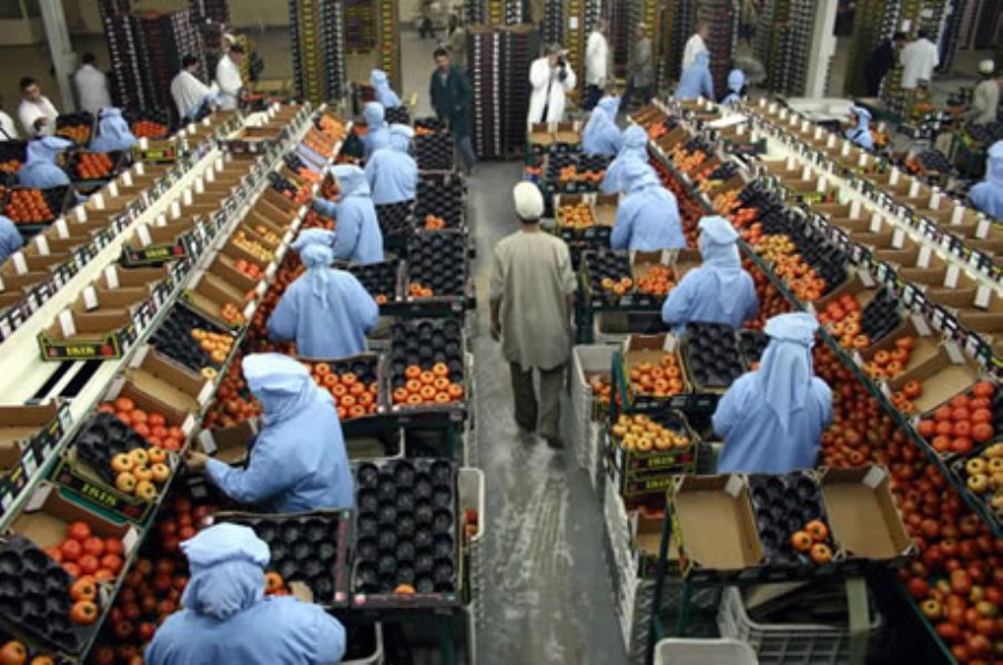 El Gobierno andaluz pide a Bruselas que penalice a Marruecos si introdujo tomates bajo precio mínimo