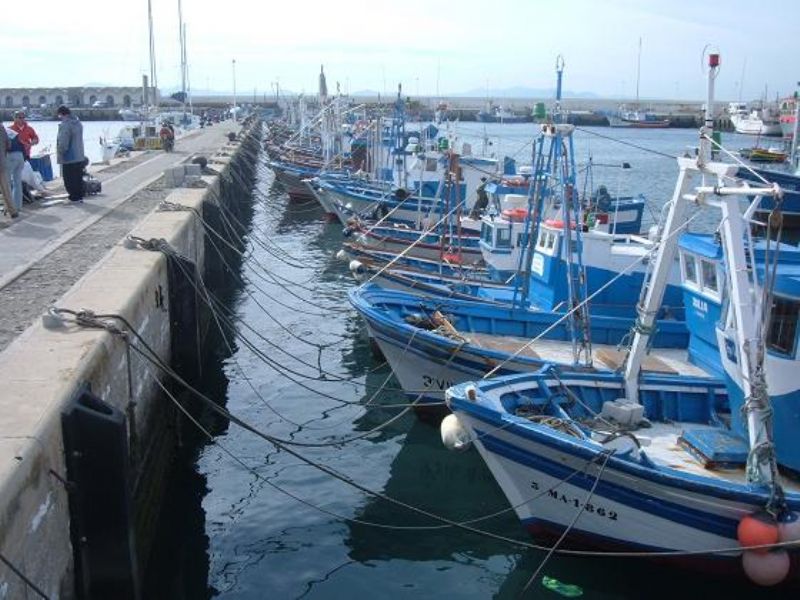 Encuentro nacional en Tánger sobre la pesca artesanal en la región mediterránea de Marruecos
