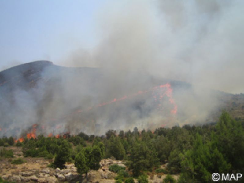 Un incendio arrasa casi 100 hectáreas de bosque en Alhucemas