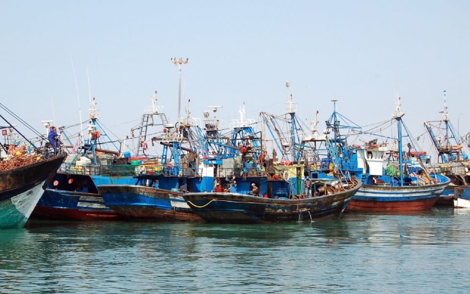 Ampliación del puerto de Dajla