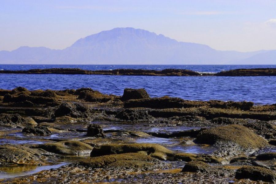 El comit de coordinacin de la Reserva de la Biosfera  ha sido constituido