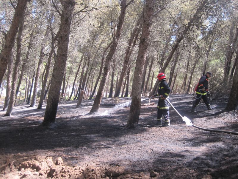 Un incendio destruye más de diez hectáreas cerca de Tánger