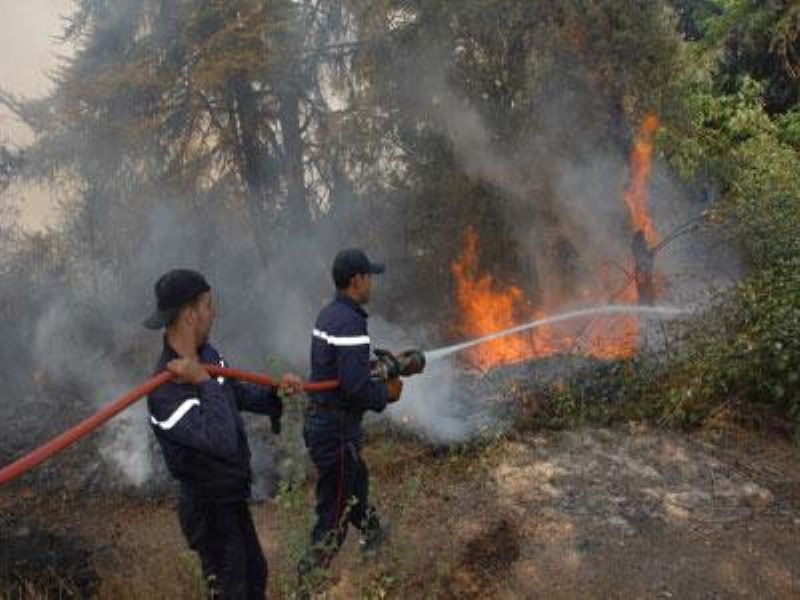Un total de 70 alertas por incendios forestales registrados en la región de Tánger-Tetuán