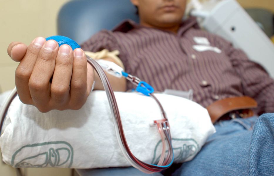 Marruecos celebra el Da Mundial del Donante de Sangre