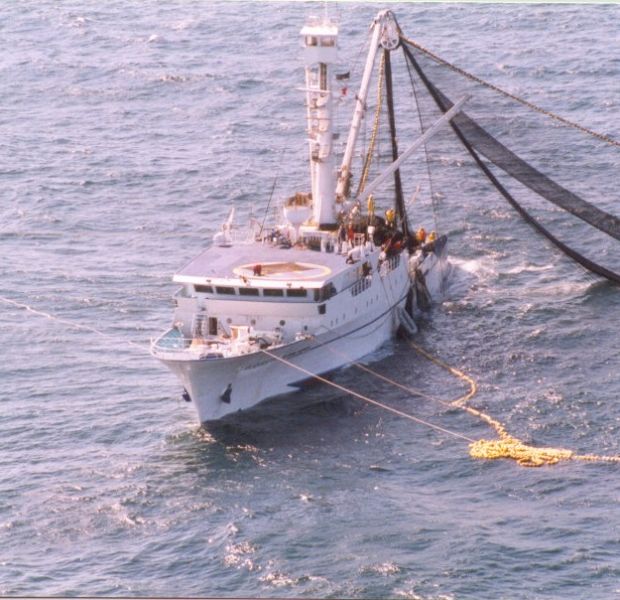 La Comisin de Presupuestos vota a favor del acuerdo de pesca entre Marruecos y la UE