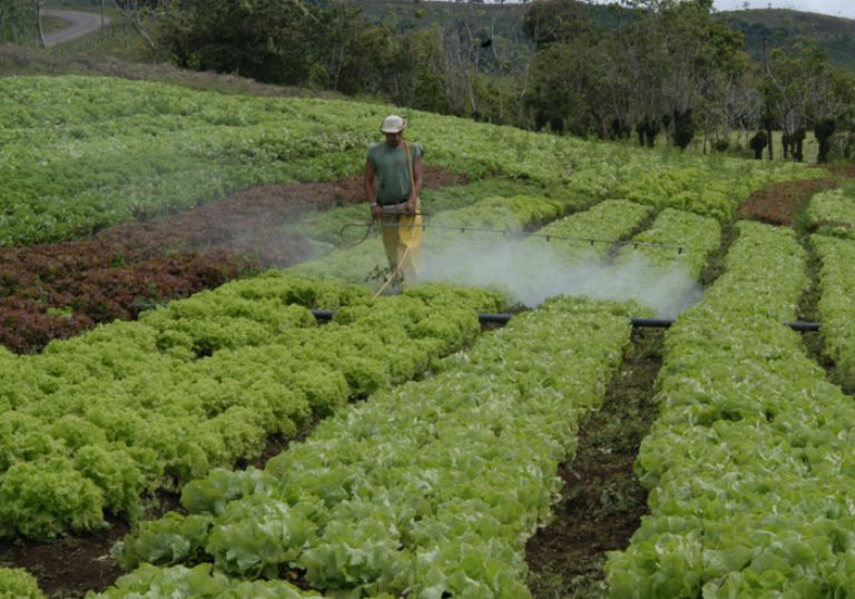 Marruecos y Canarias colaboran en un proyecto sobre el uso sostenible de plaguicidas en cultivos