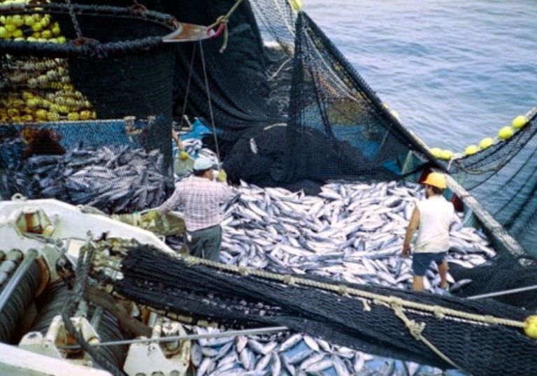 El Rey de Marruecos anuncia a Felipe VI que ha ratificado el acuerdo de pesca con la UE