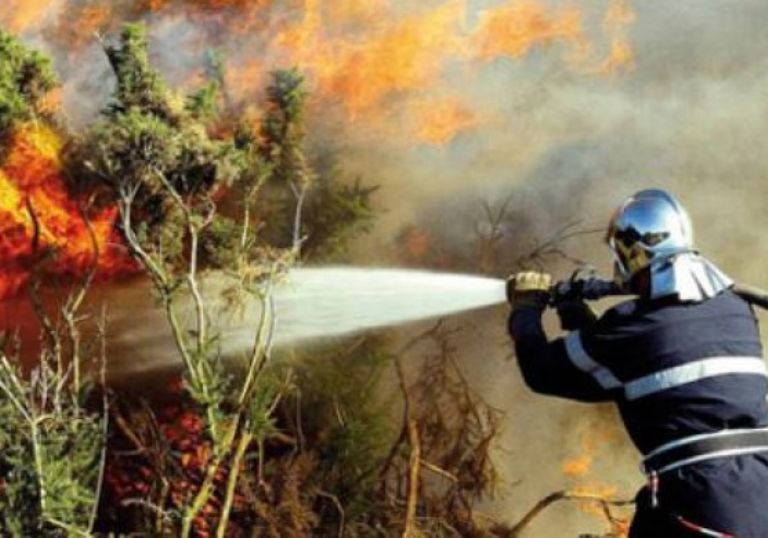 Un incendio azota 17 hectáreas en un bosque en la región de Agadir
