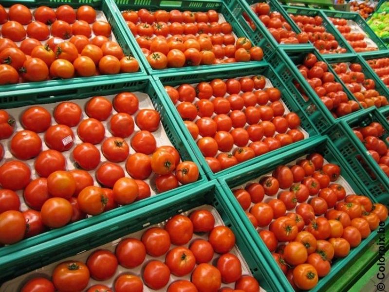 Los productores europeos alertan de que las exportaciones de tomate de Marruecos no respetan las normas comunitarias
