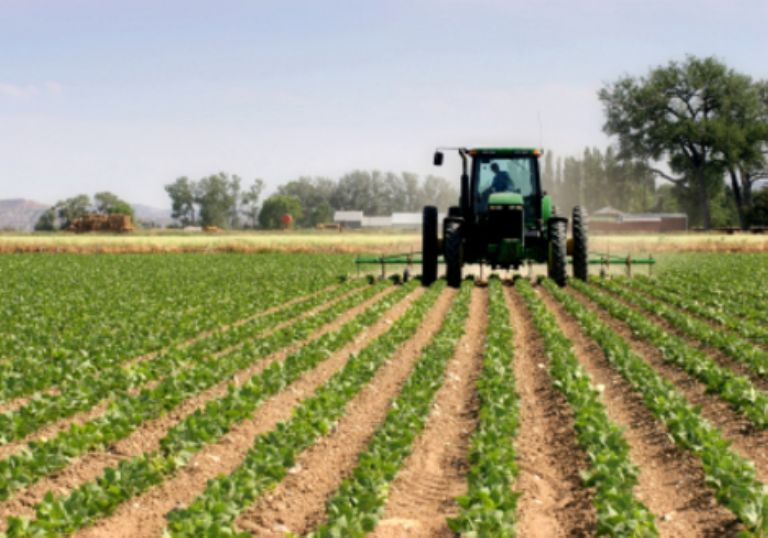 Las subvenciones agrícolas para la región Tánger-Tetuán alcanzan 590 millones de dírhams