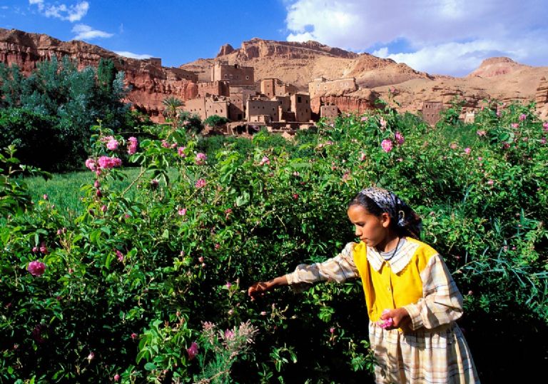 La Valle de las Rosas, uno de los diez destinos mundiales para estrenar la primavera