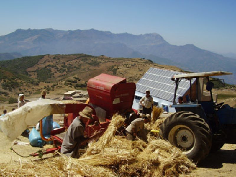 Crean microcrditos para las poblaciones aisladas del zonas rurales marroques